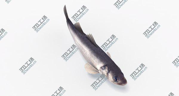 images/goods_img/20210312/Seabass (Animated)/5.jpg